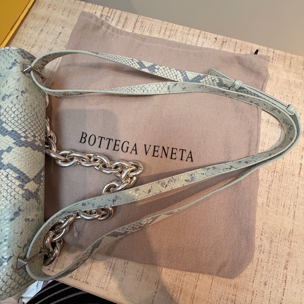 Bottega Veneta Mount Python Envelope Bag - Picture 11 of 11